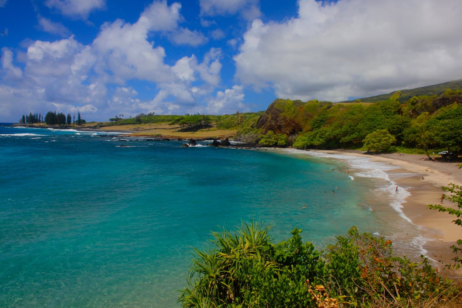 The beach and coastline at Hāmoa